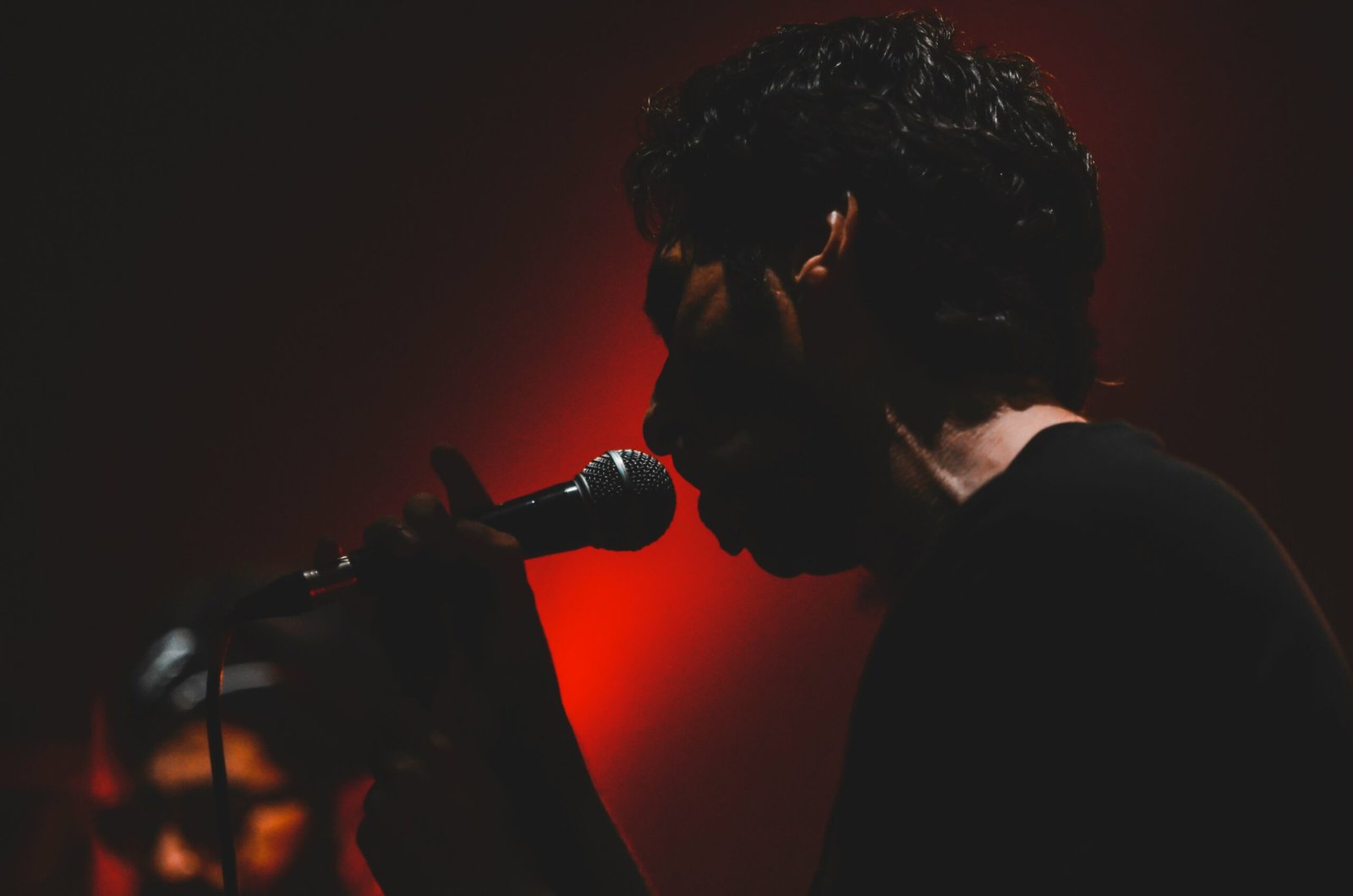 man singing on the microphone